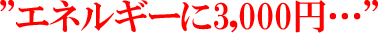 �h�G�l���M�[��3,000�~�c�h